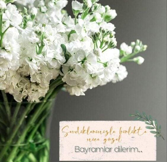 Bayram iletileriniz ile mutluluğunuzu sevdikleriniz ile paylaşın!
