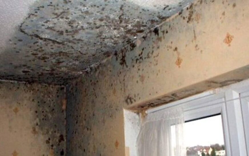 Banyo küfüyle gayret: Doğal ve kimyasal yöntemler!