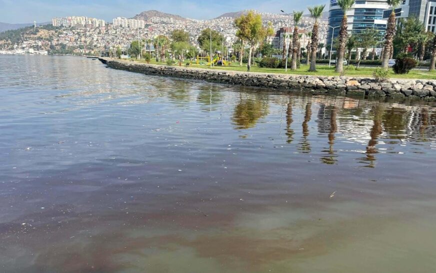 İzmir Körfezi yeniden kötü kokuyor: Nedeni Siyonabakteriler