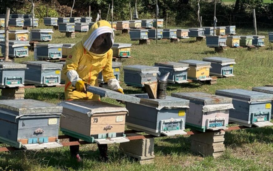 Bartınlı kadın arıcı, devlet desteğiyle başlattığı hobisini mesleğe dönüştürdü