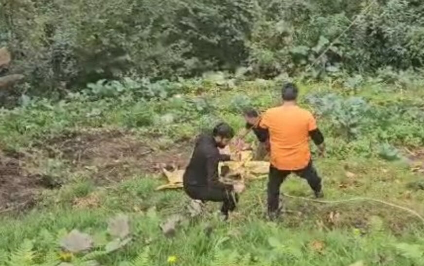 Rize’de yoldan aşağıya düşen inek vinç yardımıyla kurtarıldı