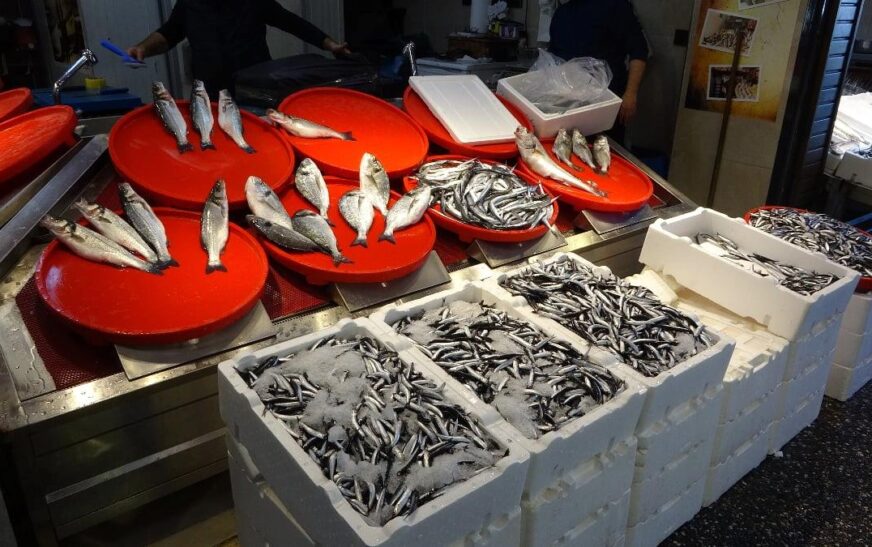 Trabzon’da palamut sezonu başlamadan bitti